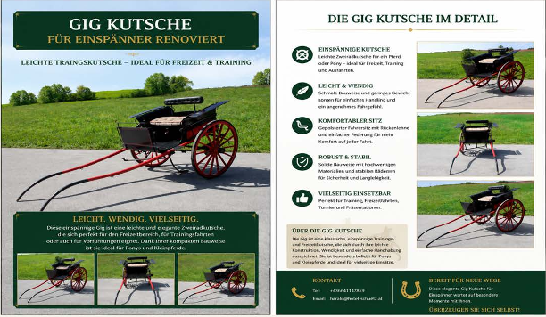 Gig Kutsche – Leichte Einspänner Trainings- und Freizeitkutsche